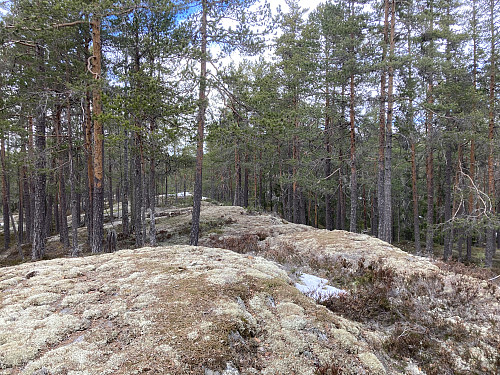Stillemyrberga i Notodden