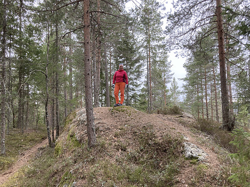 Toppen Andersen sitt toppunkt