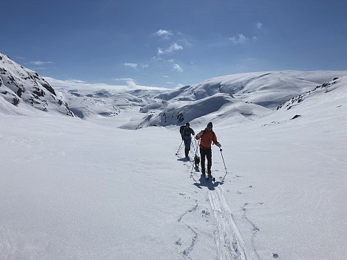 Snart i skaret der hvor sommerstien bikker ned mot Myrdalen.