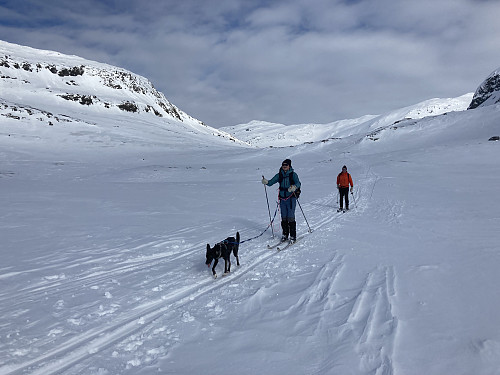 På vei ned fra Geitavatnet retning Upsetedalen.
