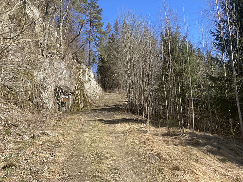 På vei opp skogsveien fra Dalen p-plass