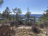 ØyvindBergkvam_20220816_62fbe6094926c.jpg