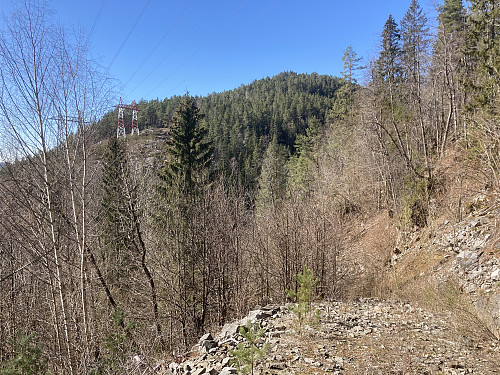 Tilbakeblikk mot Kokleråsen fra stigningen opp mot Dalskufjell