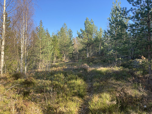Sti på vei opp mot Jakobåsen som var noe utydelig enkelte steder