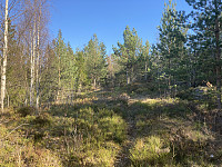 ØyvindBergkvam_20220817_62fc8b66e1681.jpg