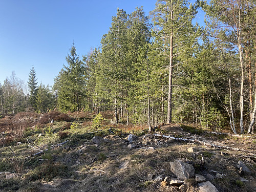 Jakobåsen i Skien