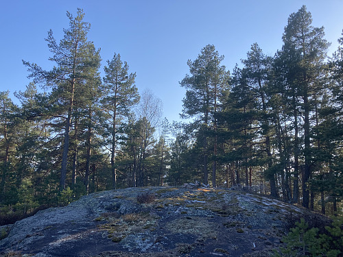 Hansesåsen er en åpen kolle med god utsikt!