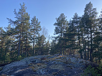 ØyvindBergkvam_20220817_62fc8b6c49a24.jpg