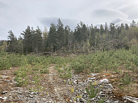 ØyvindBergkvam_20220817_62fd11a0f1d73.jpg