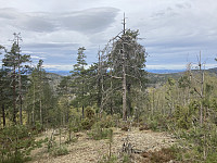 ØyvindBergkvam_20220817_62fd11a28aa49.jpg