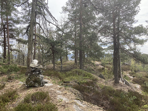 Toppvarden på Storeberg i Porsgrunn