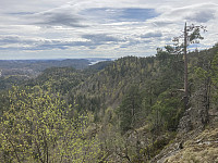 ØyvindBergkvam_20220817_62fd11a8bbd84.jpg