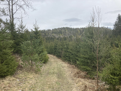 Stien/veien forbi barnehagen, Omsdalsåsen i bakgrunnen.