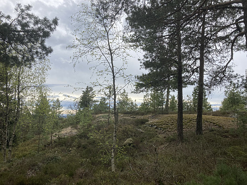 Omsdalsåsen i Porsgrunn