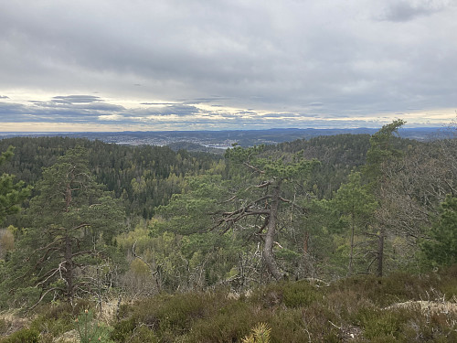 Fin utsikt fra Omsdalsåsen:)