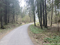 ØyvindBergkvam_20220818_62fe12dd196d0.jpg