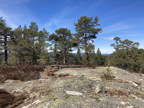 Hestfjella i Skien