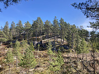 ØyvindBergkvam_20220818_62fe1d5d8cad4.jpg