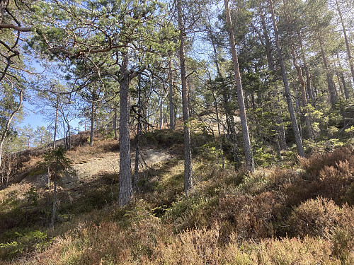 På vei opp den bratte nordryggen på Vestre Hoppefjell