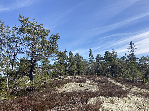 Topplatået på Vestre Hoppefjell i Skien