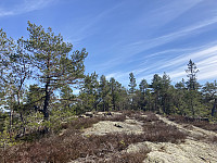 ØyvindBergkvam_20220818_62fe1d635bbe6.jpg