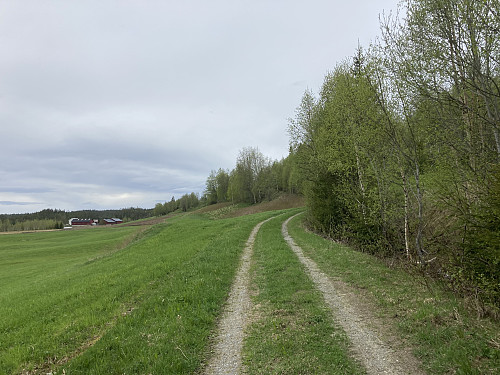Fin gårdsvei opp til Snustad