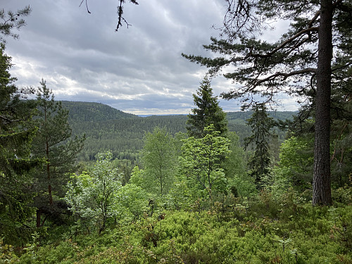 Utsikt fra Kirkebykollen 319 moh