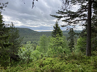 ØyvindBergkvam_20220830_630e07caca11c.jpg