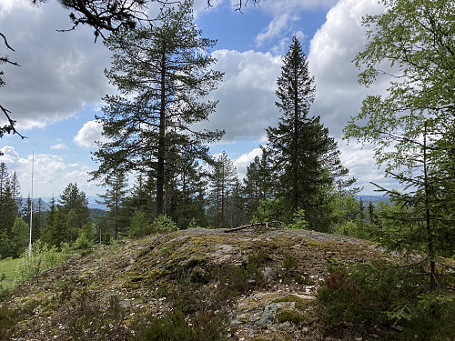 Tømmeråsen 448 moh