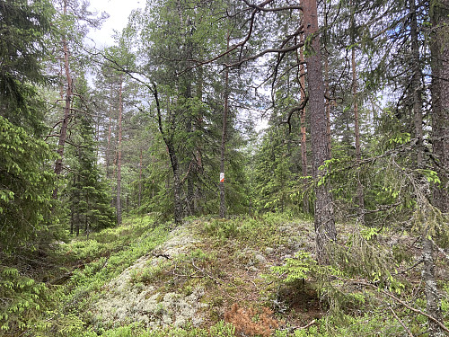 TurO-post på Kinnåsen Vest i Lillestrøm