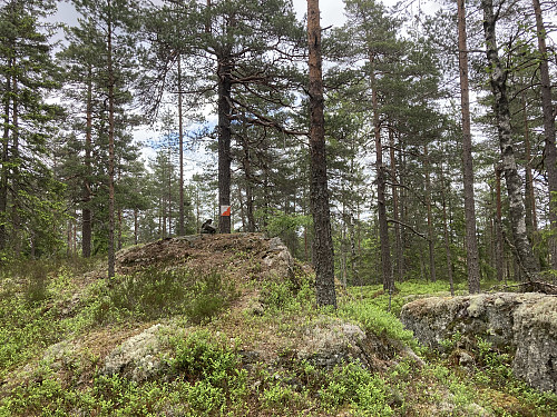 Kinnåsen i Lillestrøm, O-post her også gitt!