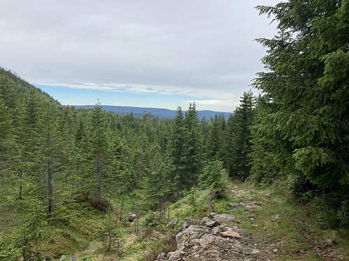 På turen opp fra Lille Lauarvatnet var det god vei/sti nesten helt opp til snaufjellet