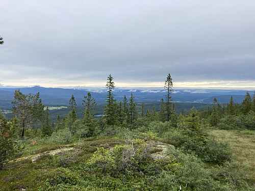 Vel oppe på snaufjellet åpner utsikten seg opp retning nordover