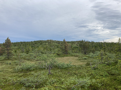 Evjuseterfjellet sett fra NV-toppen. Turen over ser grei ut, en det venter et par overraskelser underveis