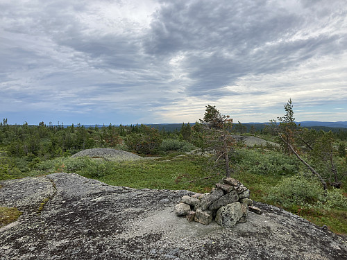 Evjuseterfjellet i Kongsberg