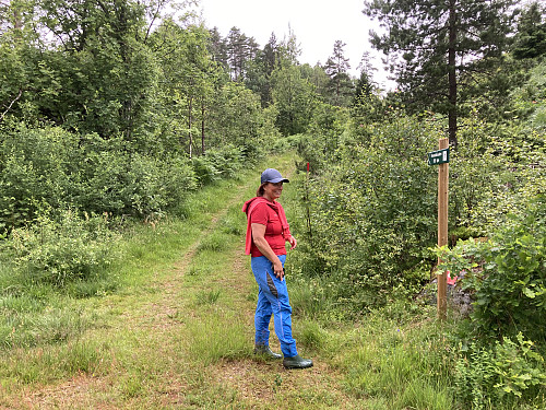 Sør for toppen traff vi på den merkede stien 