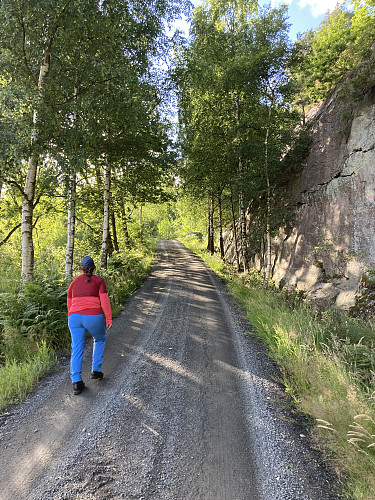 Fin vei opp fra gartneriet