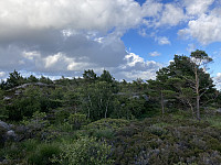 ØyvindBergkvam_20220923_632dbd36ba7ea.jpg