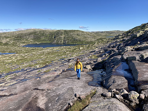 På vei opp bakkene mot Oddevassheia 