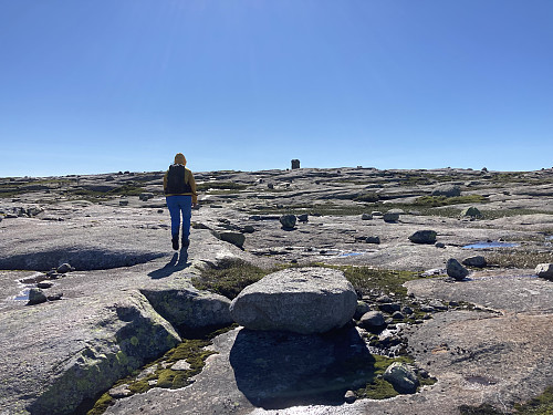 Snart på toppen av Oddevassheia 