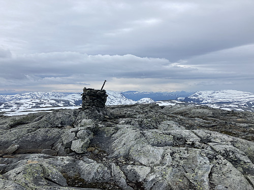 Øykjafonn i Ulvik 1604 moh