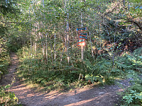 ØyvindBergkvam_20221103_6363aa557d71d.jpg