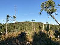 ØyvindBergkvam_20221103_6363aa58c6201.jpg