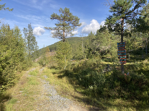 Underveis langs traktorveien. Like rundt svingen her kunne jeg se ned mot E6-anlegget, ellers var det heldigvis ikke så mye man merket til det.