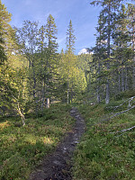 ØyvindBergkvam_20221103_6363b477257b0.jpg