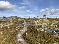 ØyvindBergkvam_20221103_6363b478e1b4d.jpg