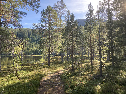 Turen startet ved idylliske småvann i nærheten av Tevelsjøen fjellstue