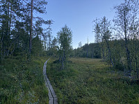 ØyvindBergkvam_20221109_636ba1e7bc591.jpg