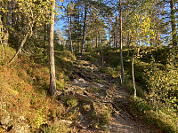 ØyvindBergkvam_20221109_636ba1eb3a8ae.jpg