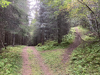ØyvindBergkvam_20221109_636ba60dd5dbc.jpg